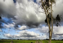 家庭风水学知识大全免费,家庭风水常用口诀